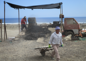 Investigador de GICSEC publica artículo en Revista Taltalia del Museo Augusto Capdeville Rojas de Taltal