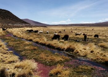 Integrante y cofundador de GICSEC, Matías Calderón Seguel, se adjudica Fondecyt de Iniciación